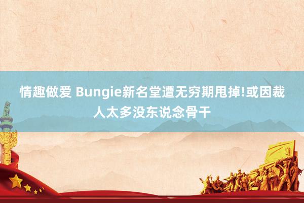 情趣做爱 Bungie新名堂遭无穷期甩掉!或因裁人太多没东说念骨干