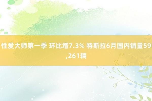 性爱大师第一季 环比增7.3% 特斯拉6月国内销量59，261辆