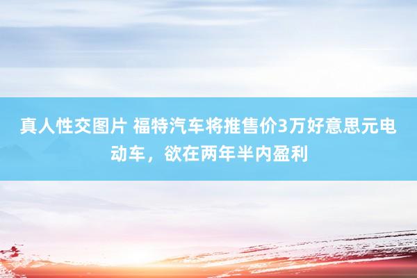 真人性交图片 福特汽车将推售价3万好意思元电动车，欲在两年半内盈利