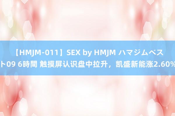 【HMJM-011】SEX by HMJM ハマジムベスト09 6時間 触摸屏认识盘中拉升，凯盛新能涨2.60%