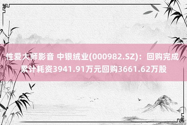 性爱大师影音 中银绒业(000982.SZ)：回购完成 累计耗资3941.91万元回购3661.62万股