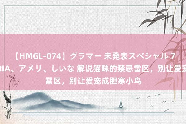 【HMGL-074】グラマー 未発表スペシャル 7 ゆず、MARIA、アメリ、しいな 解说猫咪的禁忌雷区，别让爱宠成胆寒小鸟