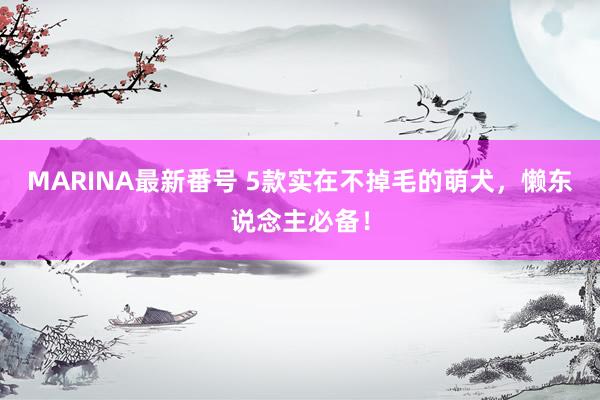 MARINA最新番号 5款实在不掉毛的萌犬，懒东说念主必备！