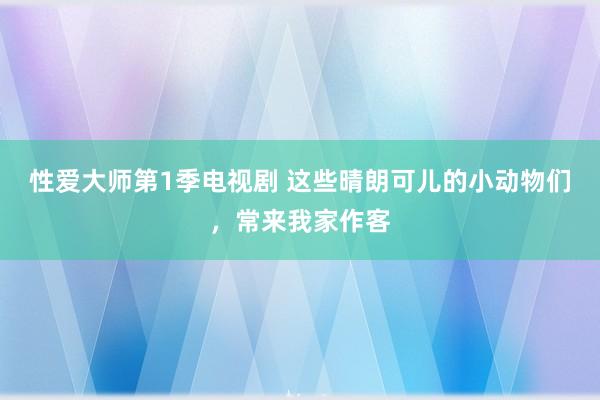 性爱大师第1季电视剧 这些晴朗可儿的小动物们，常来我家作客