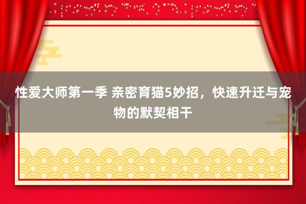 性爱大师第一季 亲密育猫5妙招，快速升迁与宠物的默契相干