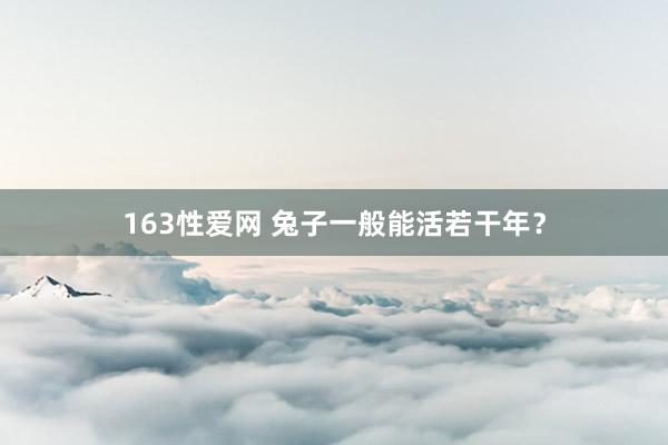 163性爱网 兔子一般能活若干年？