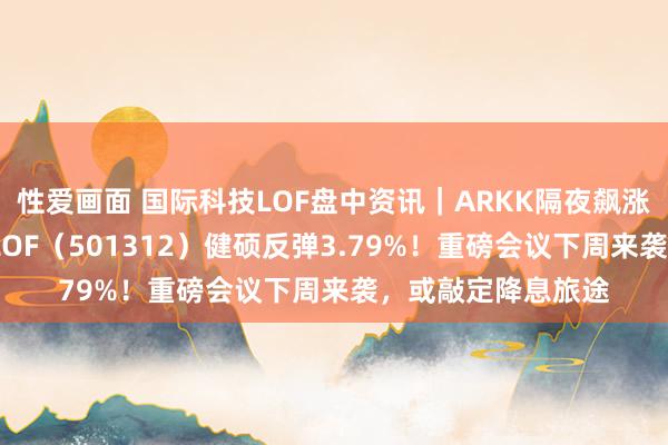 性爱画面 国际科技LOF盘中资讯｜ARKK隔夜飙涨近5%，国际科技LOF（501312）健硕反弹3.79%！重磅会议下周来袭，或敲定降息旅途