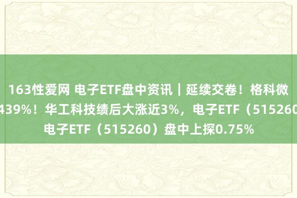 163性爱网 电子ETF盘中资讯｜延续交卷！格科微归母净利同比暴增439%！华工科技绩后大涨近3%，电子ETF（515260）盘中上探0.75%