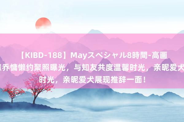 【KIBD-188】Mayスペシャル8時間-高画質-特別編 宋慧乔慵懒约聚照曝光，与知友共度温馨时光，亲昵爱犬展现推辞一面！