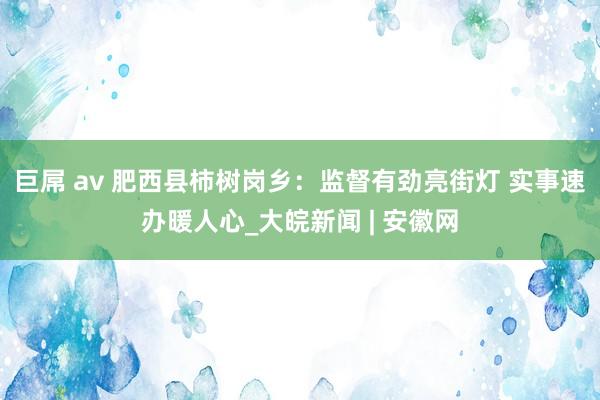 巨屌 av 肥西县柿树岗乡：监督有劲亮街灯 实事速办暖人心_大皖新闻 | 安徽网