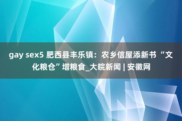 gay sex5 肥西县丰乐镇：农乡信屋添新书 “文化粮仓”增粮食_大皖新闻 | 安徽网