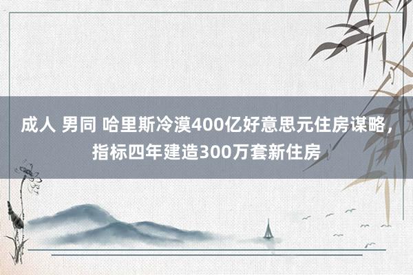 成人 男同 哈里斯冷漠400亿好意思元住房谋略，指标四年建造300万套新住房