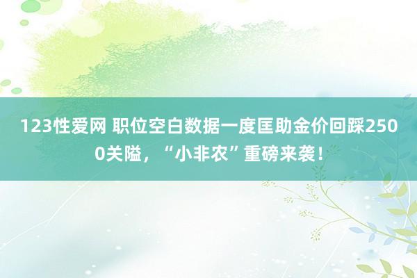 123性爱网 职位空白数据一度匡助金价回踩2500关隘，“小非农”重磅来袭！