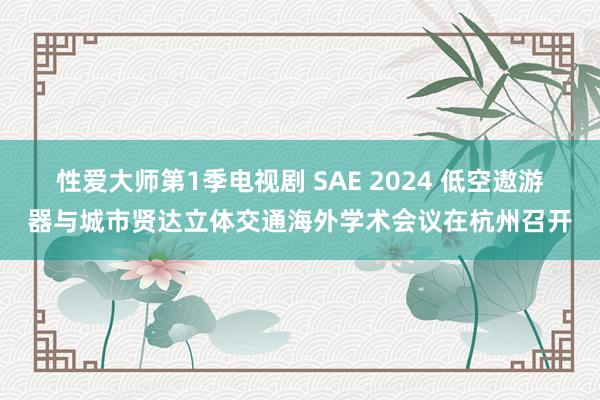 性爱大师第1季电视剧 SAE 2024 低空遨游器与城市贤达立体交通海外学术会议在杭州召开