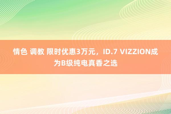 情色 调教 限时优惠3万元，ID.7 VIZZION成为B级纯电真香之选