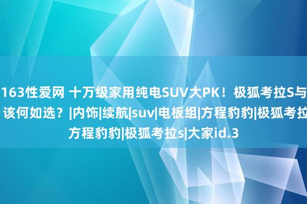 163性爱网 十万级家用纯电SUV大PK！极狐考拉S与大家ID.3，该何如选？|内饰|续航|suv|电板组|方程豹豹|极狐考拉s|大家id.3