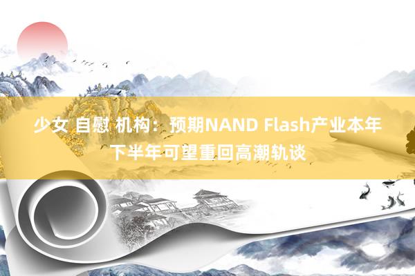 少女 自慰 机构：预期NAND Flash产业本年下半年可望重回高潮轨谈